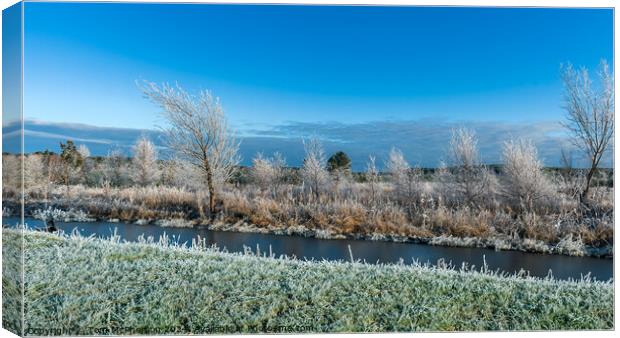 Frosty Morning in Moray Canvas Print by Tom McPherson