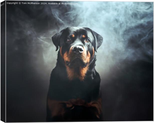 The Rottweiler  Canvas Print by Tom McPherson