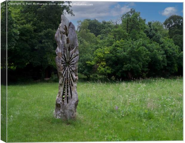 Sculpture at  Kingley Vale Canvas Print by Tom McPherson