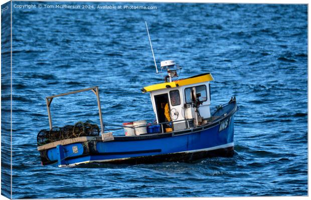 Lobster Fishing Boat Burghead Canvas Print by Tom McPherson