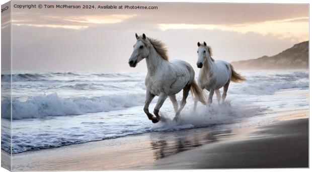 The Andalusian horse Canvas Print by Tom McPherson