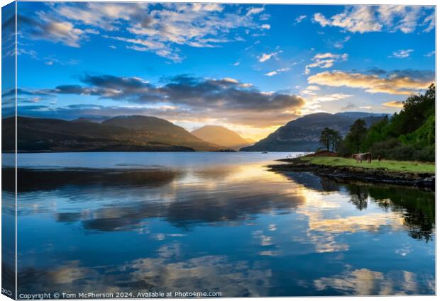 landscape of Loch Ness Canvas Print by Tom McPherson