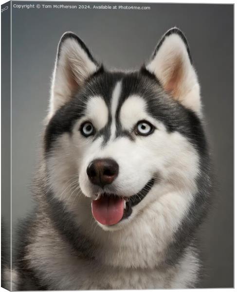 Siberian Husky Canvas Print by Tom McPherson