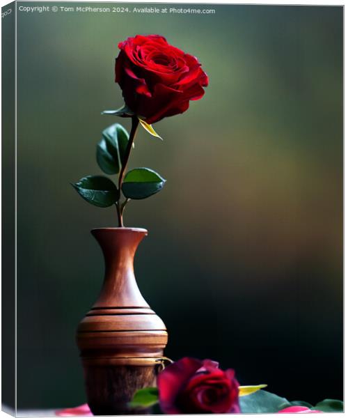 Red Rose Canvas Print by Tom McPherson