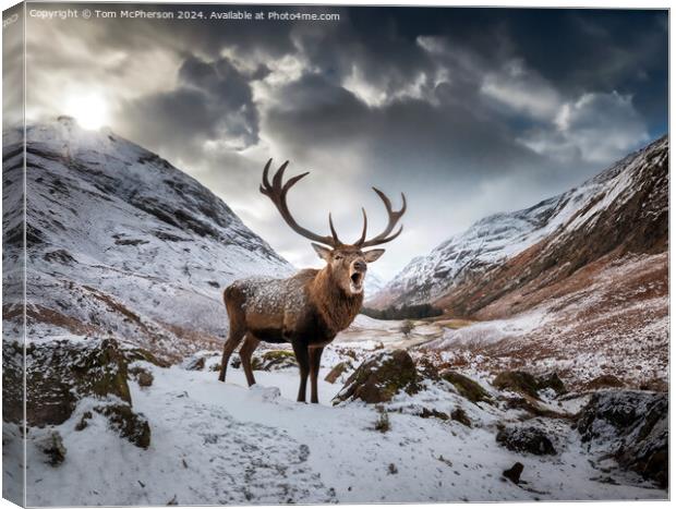 The quintessential 'Monarch of the Glen’  Canvas Print by Tom McPherson