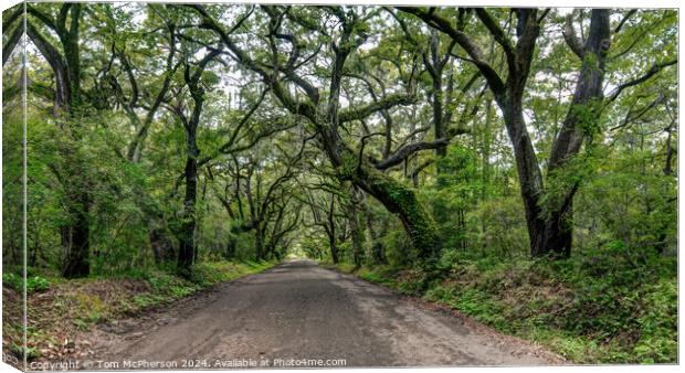 Botany Bay Road Canvas Print by Tom McPherson