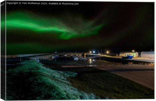 Aurora Borealis Display Canvas Print by Tom McPherson