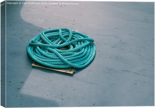 Blue Rope Canvas Print by Tom McPherson