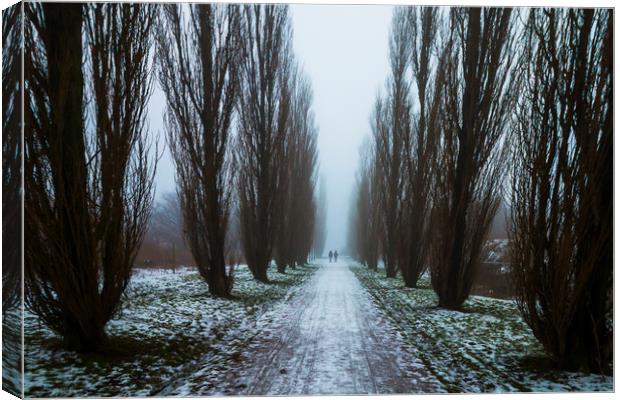 Symetric walk path in fog Canvas Print by Dalius Baranauskas