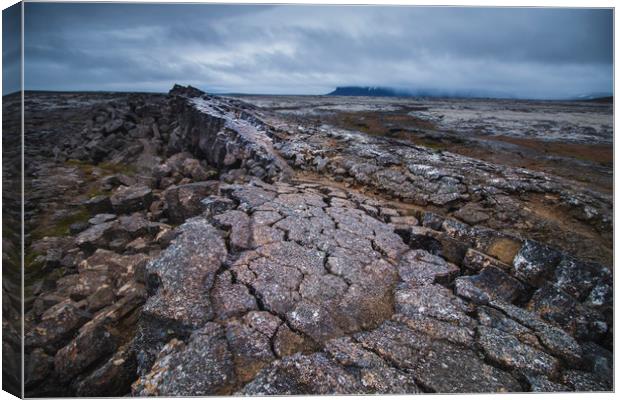 Hallmundarhraun lava field Canvas Print by Dalius Baranauskas