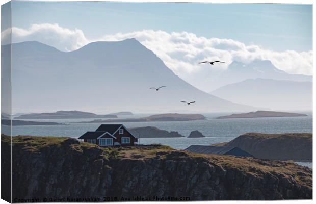 Remote House in Iceland Canvas Print by Dalius Baranauskas