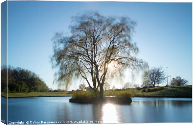 The tree in a lake Canvas Print by Dalius Baranauskas