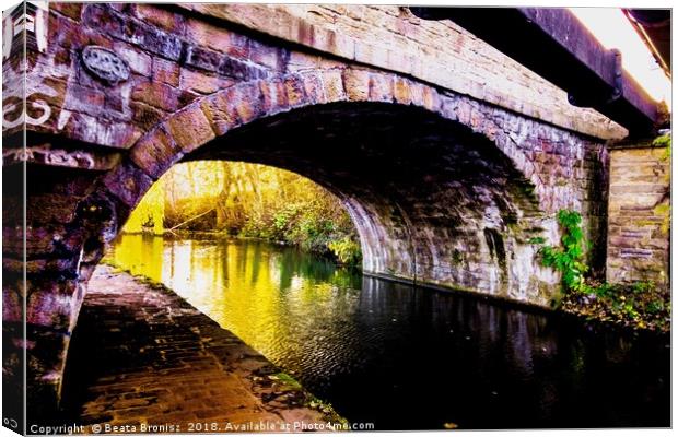 Kirkstall Canal Bridge Canvas Print by Beata Bronisz