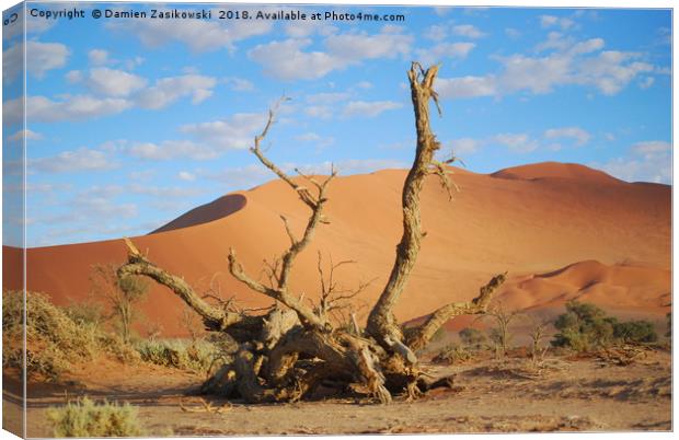 Dead tree in the namib desert Canvas Print by Damien Zasikowski