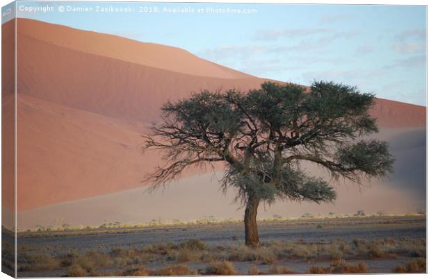 Soletary tree in the Namibian desert Canvas Print by Damien Zasikowski