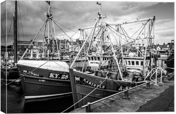 Ubique and Marigold, Arbroath Harbour Canvas Print by David Jeffery