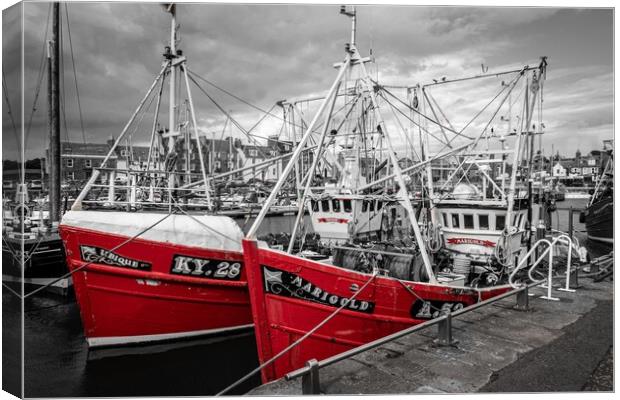 Ubique and Marigold, Arbroath Harbour (2) Canvas Print by David Jeffery