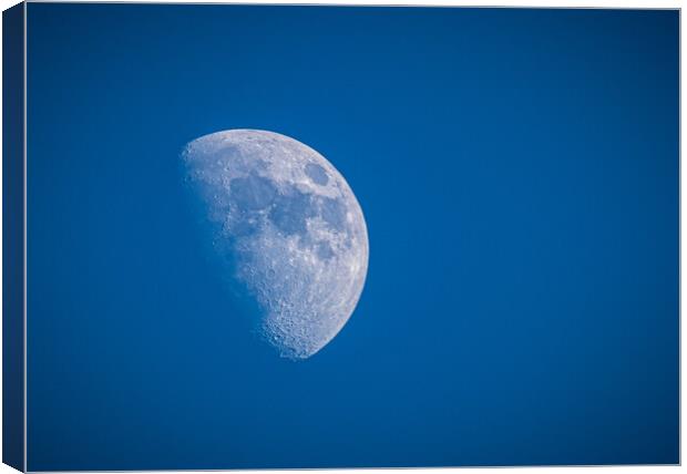 Winter's Afternoon Moon Canvas Print by David Jeffery
