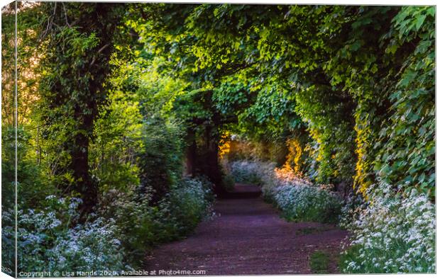 Light at the end of the tunnel Canvas Print by Lisa Hands