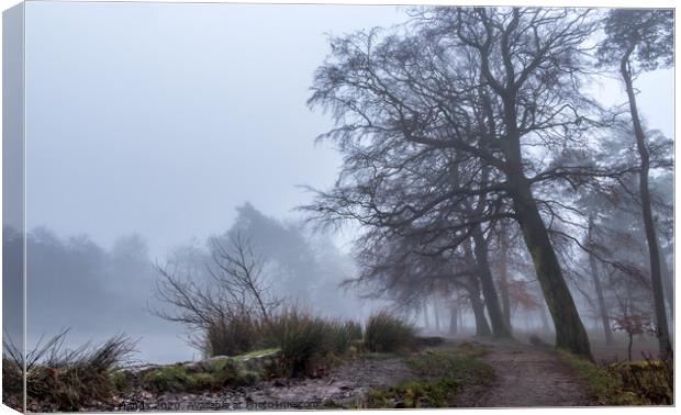 Foggy Longshaw Pond Canvas Print by Lisa Hands