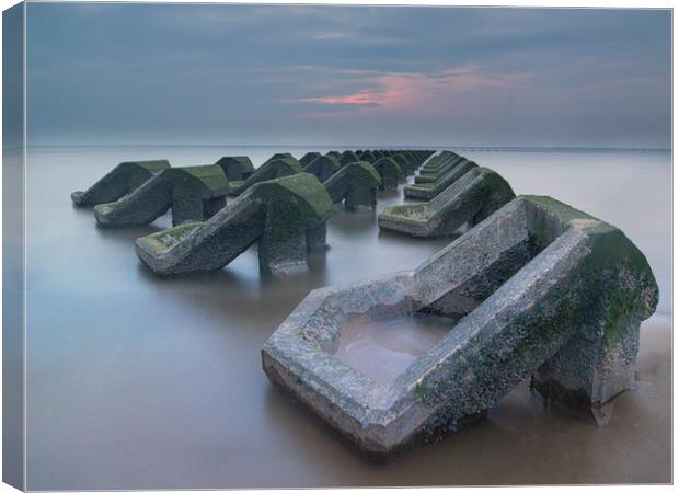 Sea defences Canvas Print by Ray Tickle