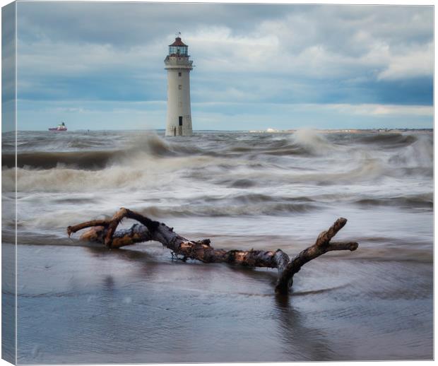 Perch Rock  dritwood Canvas Print by Ray Tickle