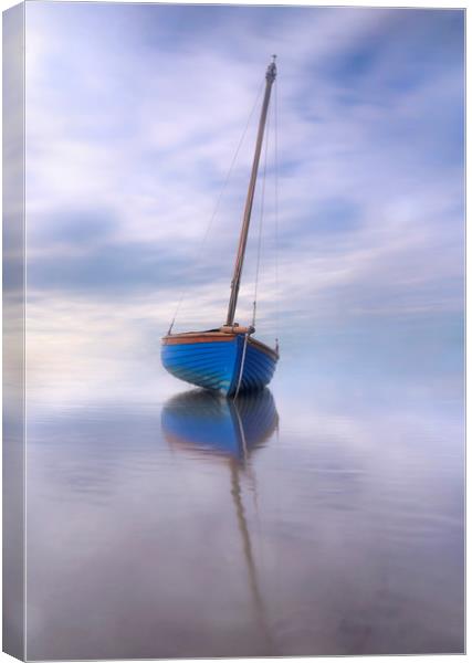 Alone in isolation  Canvas Print by Ray Tickle