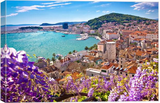 Split waterfront and Marjan hill colorful flower view Canvas Print by Dalibor Brlek