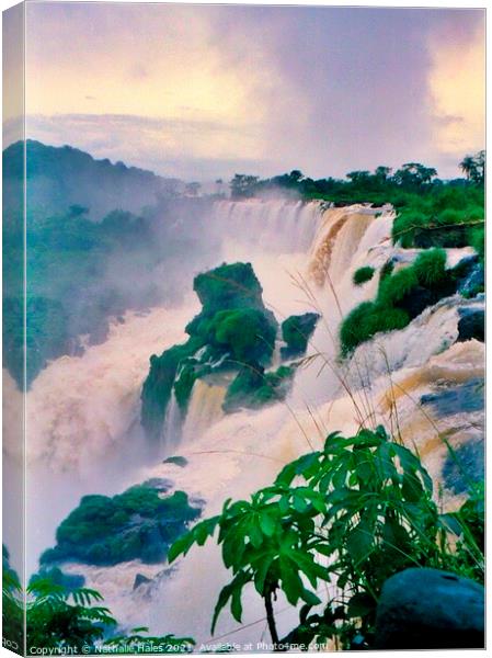 The power of the Iguazu Falls, Brazil Canvas Print by Nathalie Hales