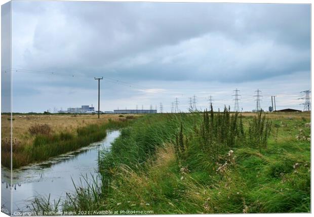 Dungeness Power Station from Romney Marsh Canvas Print by Nathalie Hales