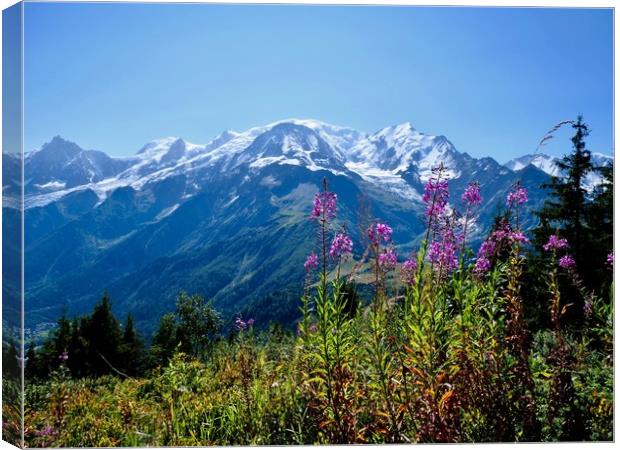 Mont Blanc from Petit Prarion - 2 Canvas Print by Nathalie Hales
