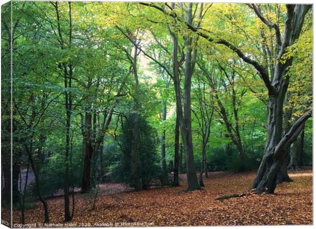 Wimbledon Common Canvas Print by Nathalie Hales