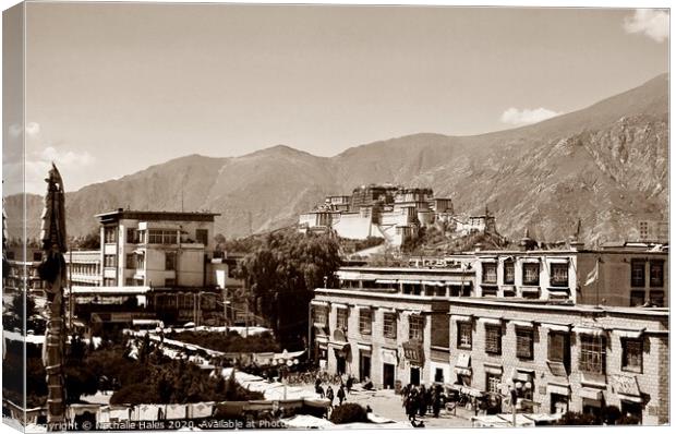 Potala Palace , Lhasa Canvas Print by Nathalie Hales