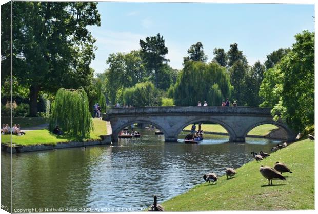 Trinity Bridge Cambridge (2) Canvas Print by Nathalie Hales