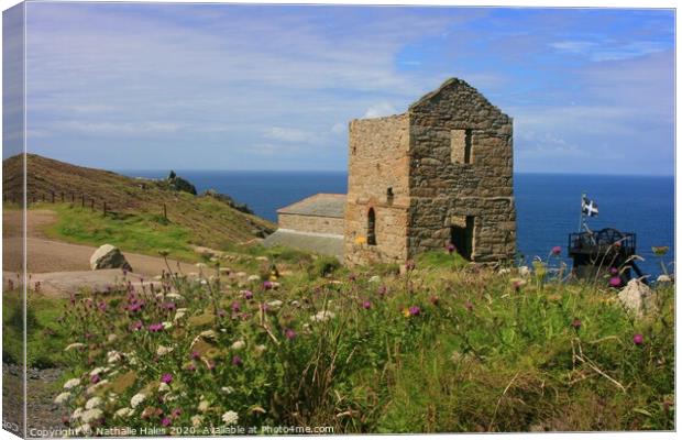 Levant mine from the Coastal Path Canvas Print by Nathalie Hales