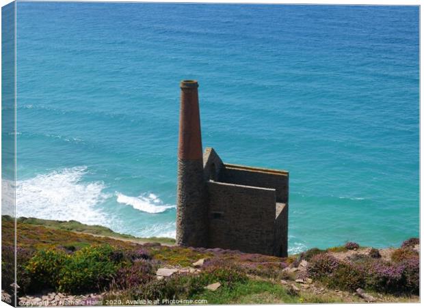Wheal Coates from above Canvas Print by Nathalie Hales