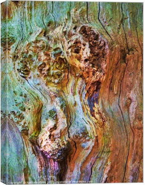 Tree Bark Canvas Print by Nathalie Hales