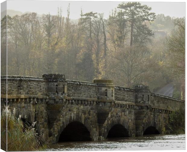 Bridge in Amberley Canvas Print by Debbie Payne