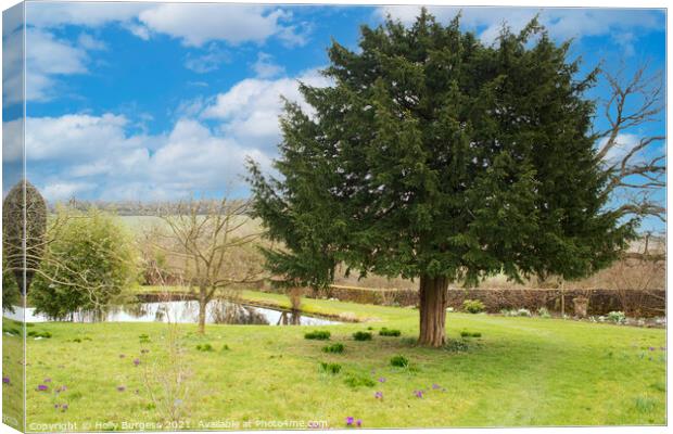 Serene Nottinghamshire Countryside Getaway Canvas Print by Holly Burgess