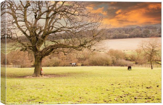 Rustic Nottingham Landscape at Dusk Canvas Print by Holly Burgess