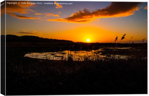 Sunsetting over the Marsh In France Canvas Print by Holly Burgess