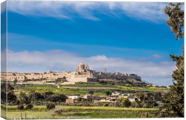 Malta's Ancient Citadel: Mdina Canvas Print by Holly Burgess