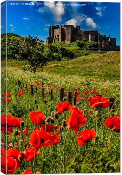 Bamburgh Castle: A Poppy Field Panorama Canvas Print by Holly Burgess