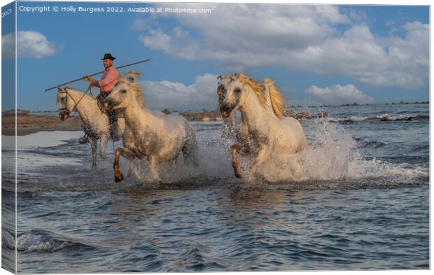 'Seaside Ballet of Camargue Equines' france  Canvas Print by Holly Burgess