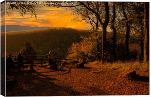 Autumn golden evening overlooking the hills in Yat A tree with a sunset in the background Canvas Print by Holly Burgess