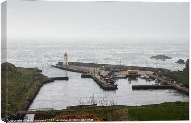 Lybster harbour a port on Scotland very rough sea day, a quite port to visit best in the early summer months  Canvas Print by Holly Burgess