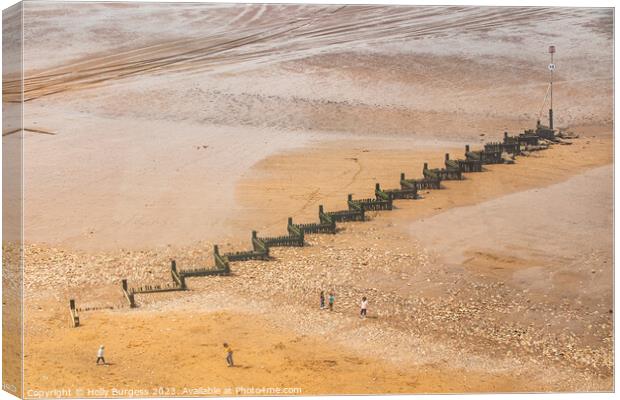 Norfolk's Heacham Beach Defences Canvas Print by Holly Burgess