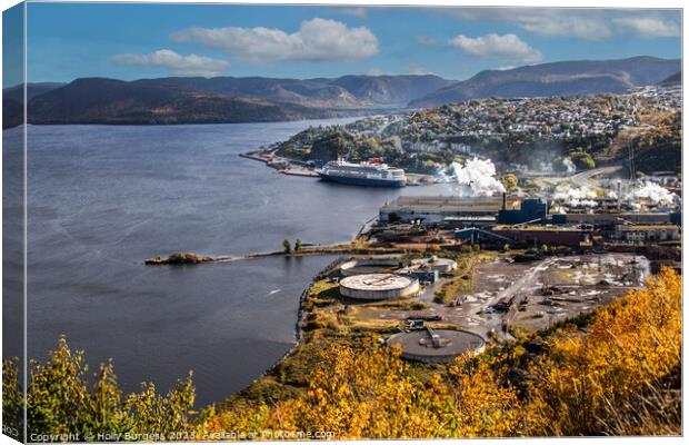Panoramic Vista from St. Johns, Canada Canvas Print by Holly Burgess