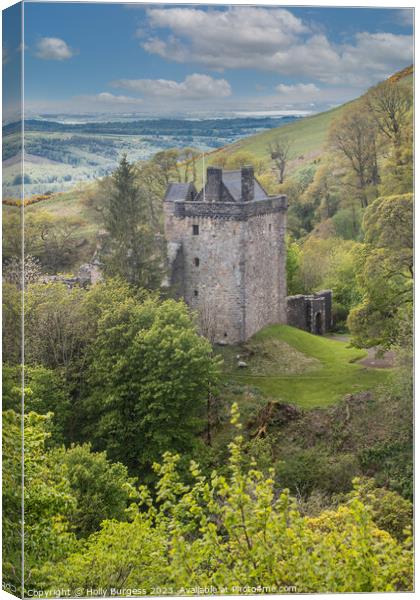 Campbell Castle: Scotland's Medieval Marvel Canvas Print by Holly Burgess