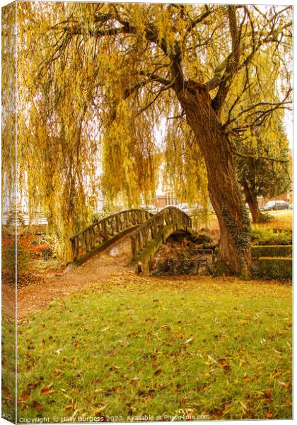 Williow tree in Autman Canvas Print by Holly Burgess